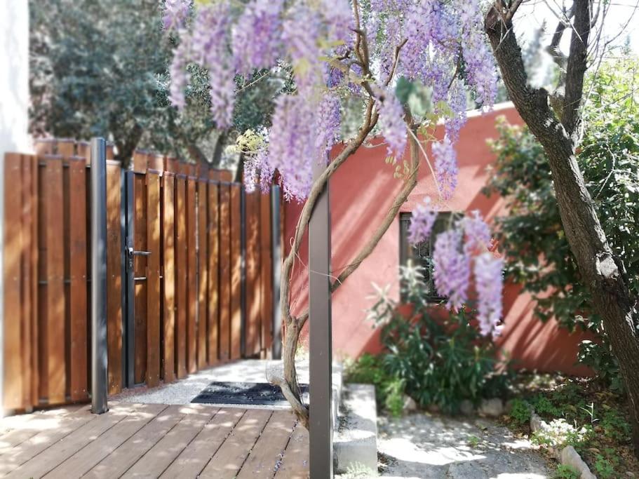 Studio Confortable Dans Villa, Terrasse, Clim Montpellier Exterior photo